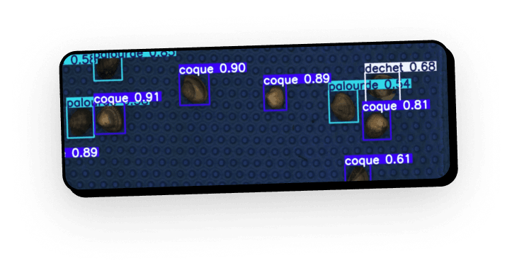 Détection par computer vision, tri de coquillages